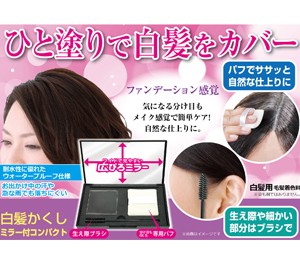 Hair Retouching Compact Usage image3