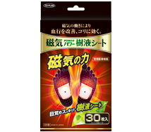 磁気パワー樹液シート 30枚入 製品画像