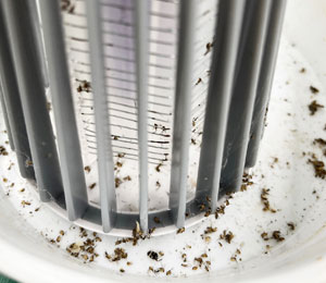 Electric Shock Insecticide Catching example