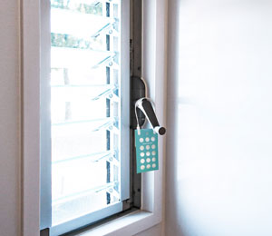 Stink Bug Repellent Pack Usage image1