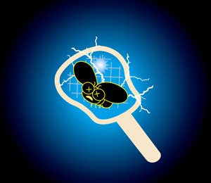 Electric Fly Swatter Racket Usage image